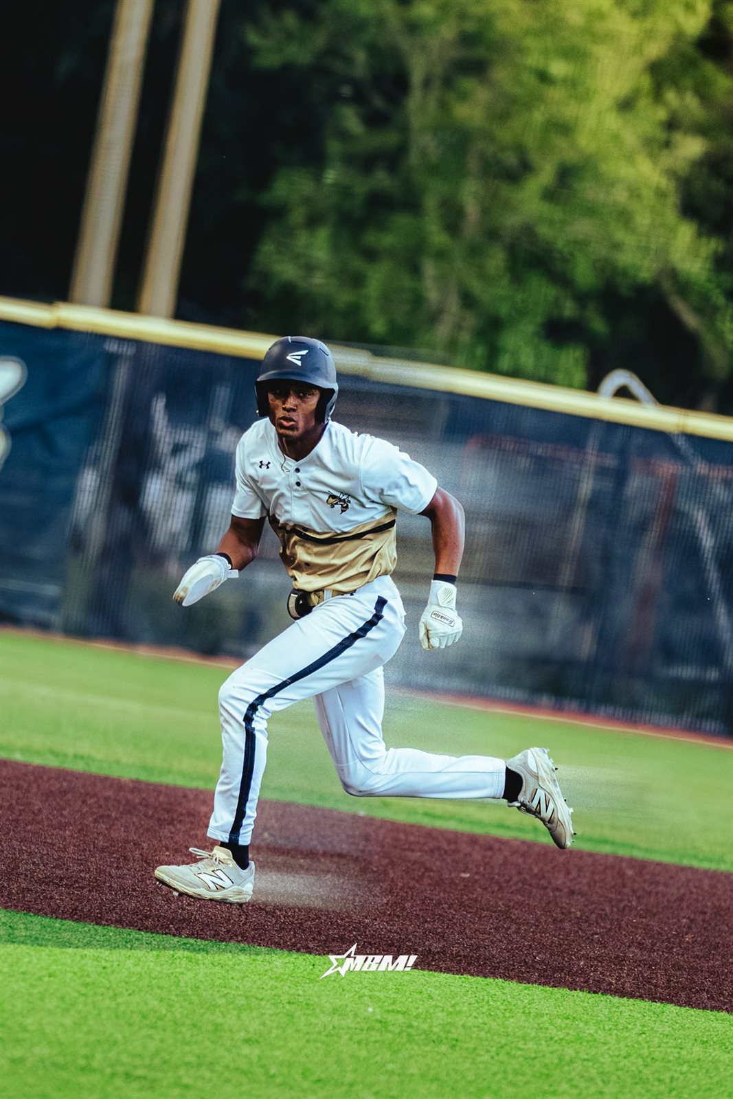 Baseball photo 12