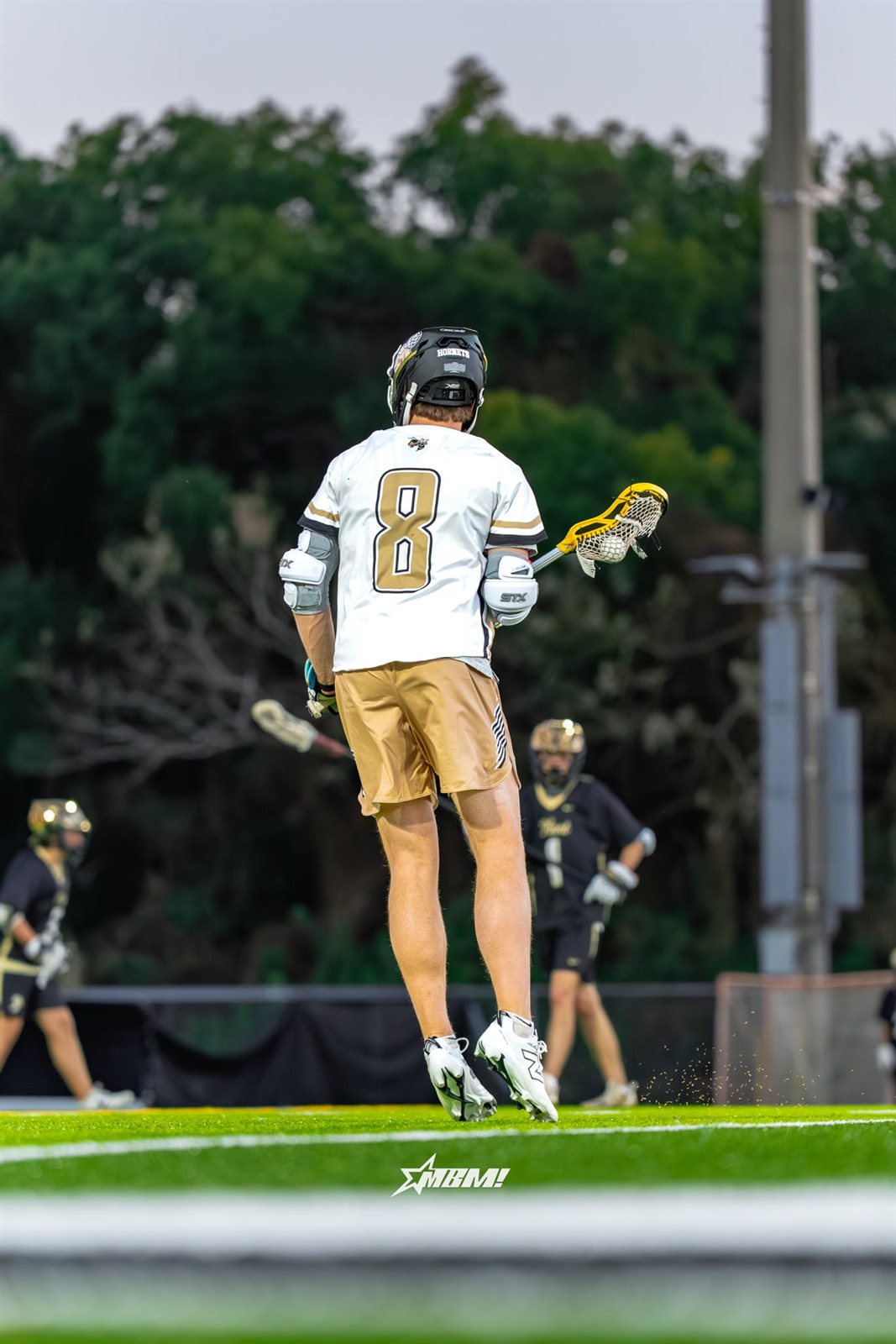 Lacrosse photo 1