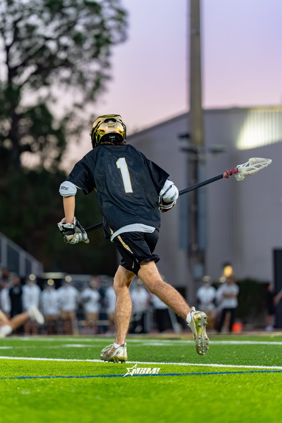 Lacrosse photo 4