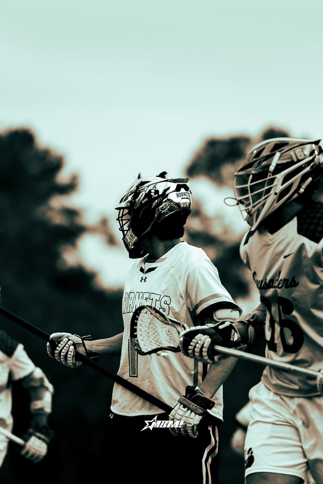 Lacrosse photo 9