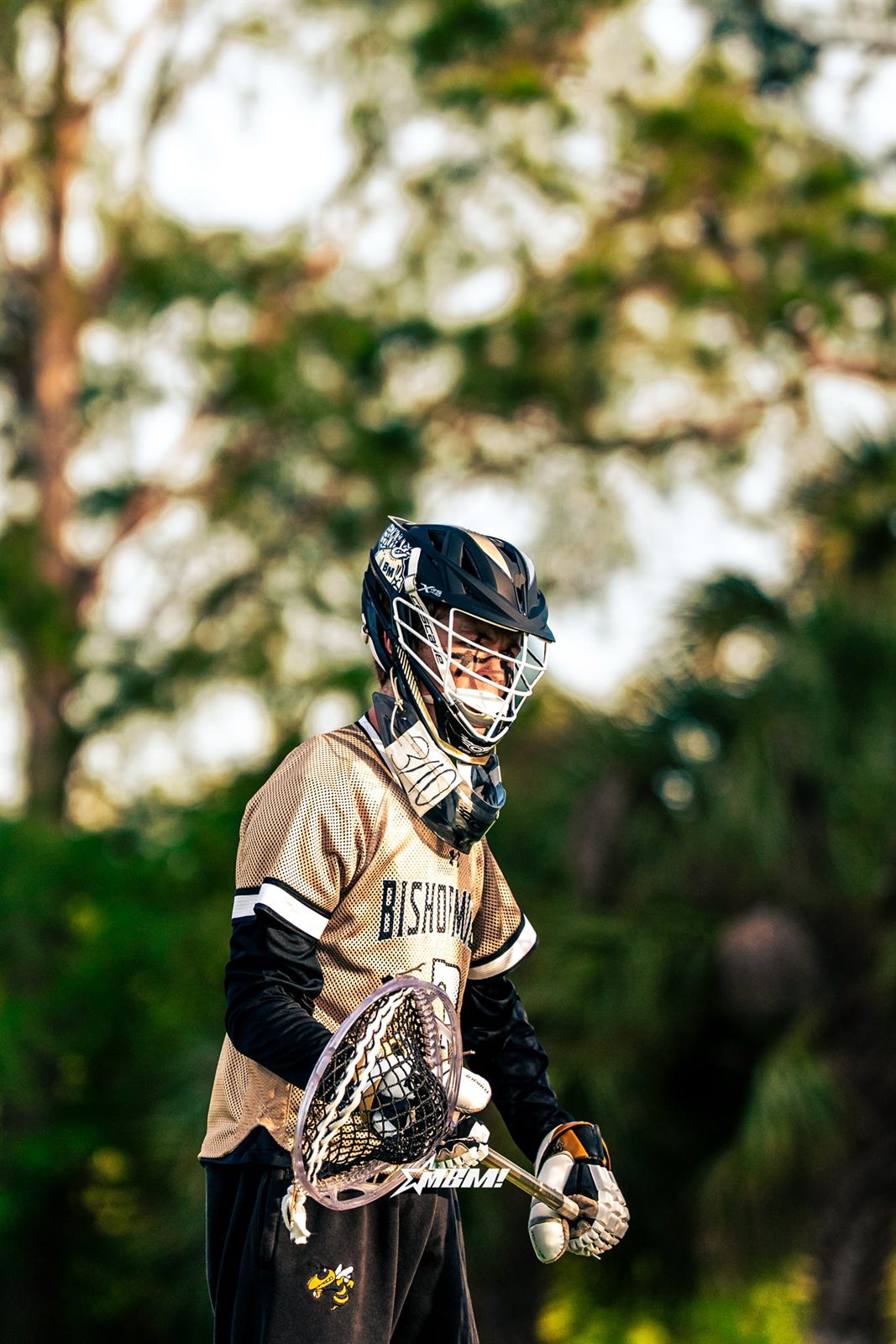 Lacrosse photo 18